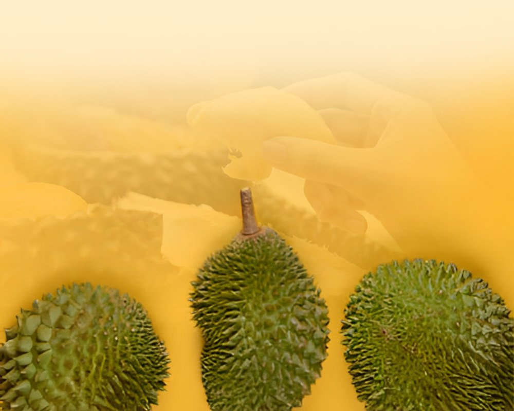 The Amazing Slideshow Addon!